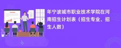 2024年宁波城市职业技术学院在河南招生计划表(招生专业、招生人数)