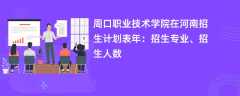 周口职业技术学院在河南招生计划表2024年：招生专业、招生人数