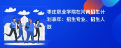 枣庄职业学院在河南招生计划表2024年:招生专业、招生人数