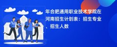 2024年合肥通用职业技术学院在河南招生计划表:招生专业、招生人数