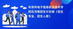 2024年郑州电子信息职业技术学院在河南招生计划表（招生专业、招生人数）