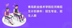 青岛职业技术学院在河南招生计划表2024年：招生专业、招生人数