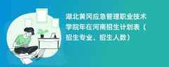 湖北黄冈应急管理职业技术学院2024年在河南招生计划表（招生专业、招生人数）