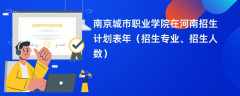 南京城市职业学院在河南招生计划表2024年（招生专业、招生人数）