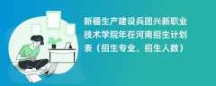 新疆生产建设兵团兴新职业技术学院2024年在河南招生计划表（招生专业、招生人数）