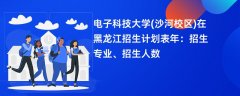 电子科技大学(沙河校区)在黑龙江招生计划表2024年:招生专业、招生人数