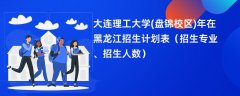 大连理工大学(盘锦校区)2024年在黑龙江招生计划表(招生专业、招生人数)