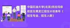 中国石油大学(北京)克拉玛依校区在黑龙江招生计划表2024年（招生专业、招生人数）