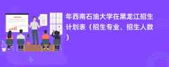2024年西南石油大学在黑龙江招生计划表（招生专业、招生人数）