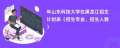 2024年山东科技大学在黑龙江招生计划表(招生专业、招生人数)