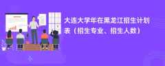 大连大学2024年在黑龙江招生计划表（招生专业、招生人数）