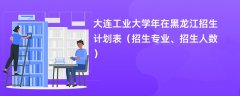 大连工业大学2024年在黑龙江招生计划表（招生专业、招生人数）