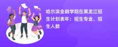 哈尔滨金融学院在黑龙江招生计划表2024年：招生专业、招生人数