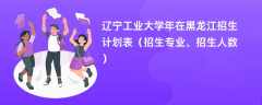 辽宁工业大学2024年在黑龙江招生计划表（招生专业、招生人数）