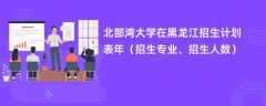 北部湾大学在黑龙江招生计划表2024年（招生专业、招生人数）