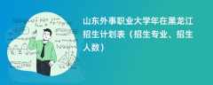 山东外事职业大学2024年在黑龙江招生计划表（招生专业、招生人数）