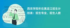 西京学院2024年在黑龙江招生计划表:招生专业、招生人数