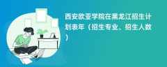 西安欧亚学院在黑龙江招生计划表2024年（招生专业、招生人数）