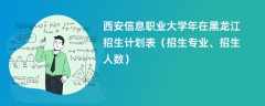 西安信息职业大学2024年在黑龙江招生计划表（招生专业、招生人数）