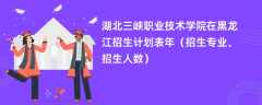湖北三峡职业技术学院在黑龙江招生计划表2024年（招生专业、招生人数）