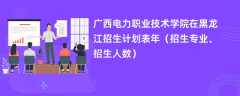 广西电力职业技术学院在黑龙江招生计划表2024年（招生专业、招生人数）