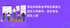 枣庄科技职业学院在黑龙江招生计划表2024年：招生专业、招生人数