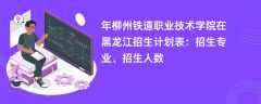 2024年柳州铁道职业技术学院在黑龙江招生计划表：招生专业、招生人数