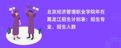 北京经济管理职业学院2024年在黑龙江招生计划表：招生专业、招生人数