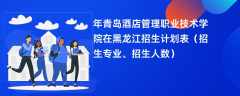 2024年青岛酒店管理职业技术学院在黑龙江招生计划表（招生专业、招生人数）
