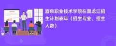酒泉职业技术学院在黑龙江招生计划表2024年（招生专业、招生人数）