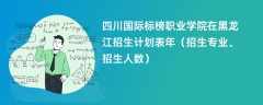 四川国际标榜职业学院在黑龙江招生计划表2024年（招生专业、招生人数）