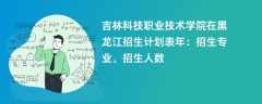 吉林科技职业技术学院在黑龙江招生计划表2024年：招生专业、招生人数