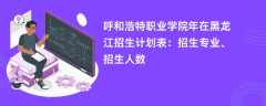呼和浩特职业学院2024年在黑龙江招生计划表：招生专业、招生人数