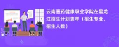 云南医药健康职业学院在黑龙江招生计划表2024年(招生专业、招生人数)