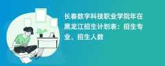 长春数字科技职业学院2024年在黑龙江招生计划表：招生专业、招生人数