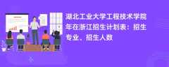 湖北工业大学工程技术学院2024年在浙江招生计划表：招生专业、招生人数