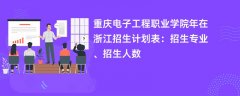重庆电子工程职业学院2024年在浙江招生计划表:招生专业、招生人数