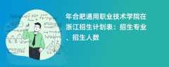 2024年合肥通用职业技术学院在浙江招生计划表：招生专业、招生人数