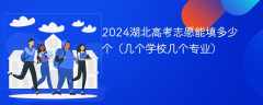 2024湖北高考志愿能填多少个（几个学校几个专业）