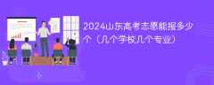 2024山东高考志愿能报多少个（几个学校几个专业）