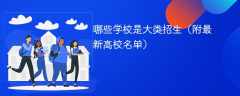 哪些学校是大类招生（附最新高校名单）