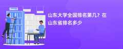 山东大学全国排名第几？在山东省排名多少