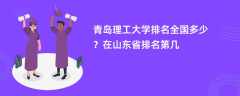 青岛理工大学排名全国多少？在山东省排名第几