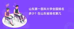 山东第一医科大学全国排名多少？在山东省排名第几