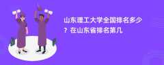 山东理工大学全国排名多少？在山东省排名第几