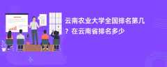 云南农业大学全国排名第几？在云南省排名多少