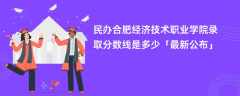 民办合肥经济技术职业学院录取分数线2024是多少「最新公布」