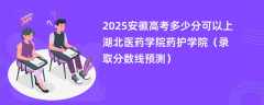 2025安徽高考多少分可以上湖北医药学院药护学院（录取分数线预测）