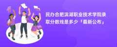 民办合肥滨湖职业技术学院2024录取分数线是多少「最新公布」