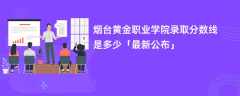 烟台黄金职业学院2024录取分数线是多少「最新公布」